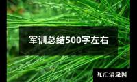 关于军训总结500字左右（精选20篇）