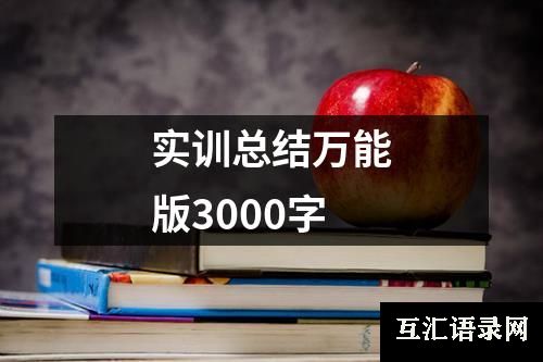 实训总结万能版3000字