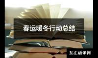 关于春运暖冬行动总结（精选12篇）