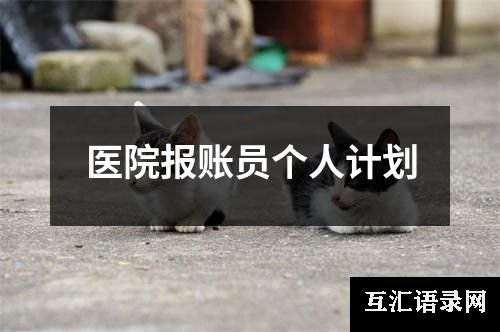 医院报账员个人计划