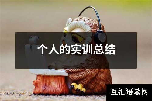 个人的实训总结