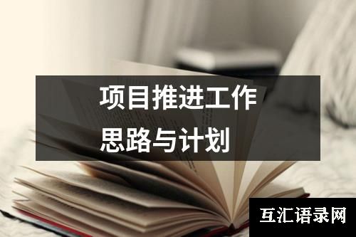 项目推进工作思路与计划