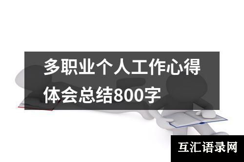 多职业个人工作心得体会总结800字