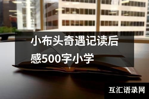 小布头奇遇记读后感500字小学