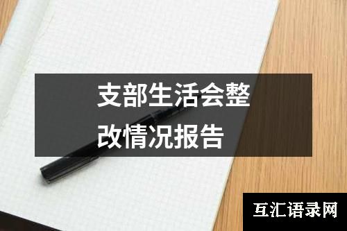 支部生活会整改情况报告