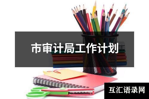 市审计局工作计划