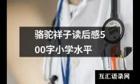 关于骆驼祥子读后感500字小学水平（共14篇）