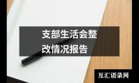 关于支部生活会整改情况报告（精选3篇）