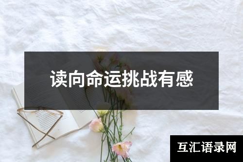 读向命运挑战有感