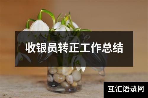 收银员转正工作总结