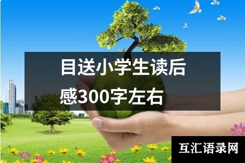 目送小学生读后感300字左右