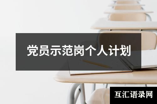 党员示范岗个人计划