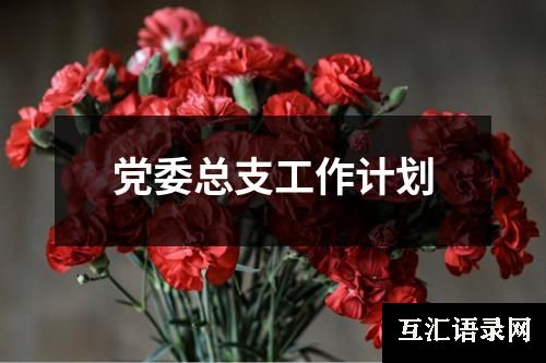 党委总支工作计划