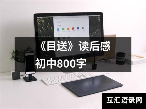 《目送》读后感初中800字