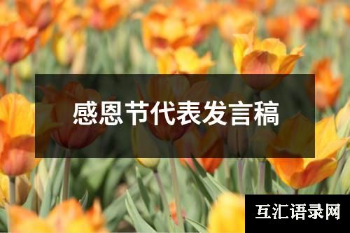 感恩节代表发言稿