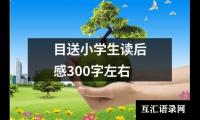 关于目送小学生读后感300字左右（共19篇）