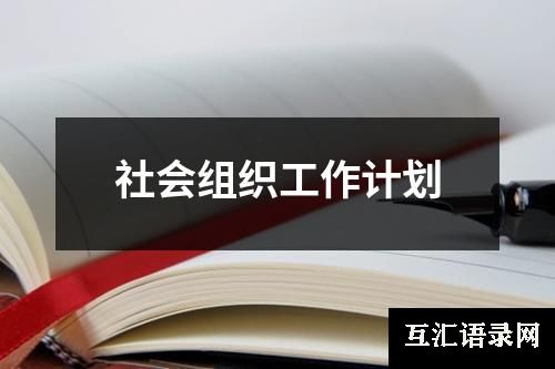 社会组织工作计划