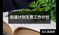 关于街道计划生育工作计划（推荐13篇）