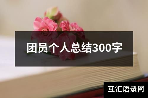 团员个人总结300字