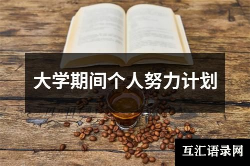 大学期间个人努力计划