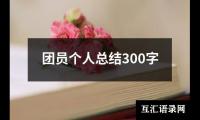 关于团员个人总结300字（通用19篇）