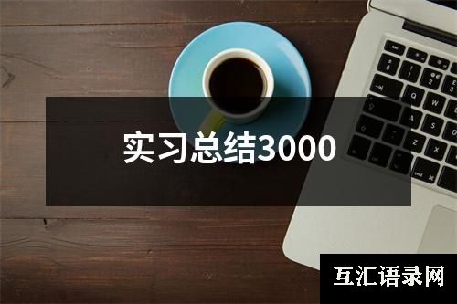 实习总结3000