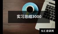 实习总结3000