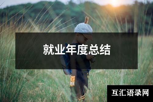 就业年度总结