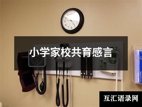 小学家校共育感言