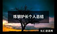 关于炼钢炉长个人总结（精选12篇）