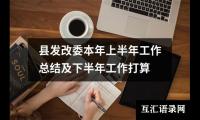 关于县发改委本年上半年工作总结及下半年工作打算（锦集8篇）