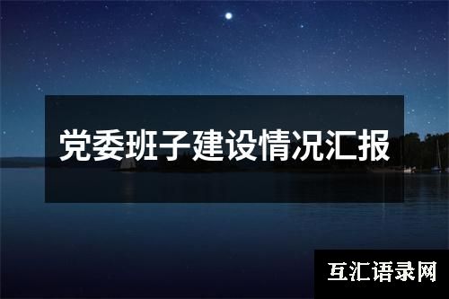 党委班子建设情况汇报