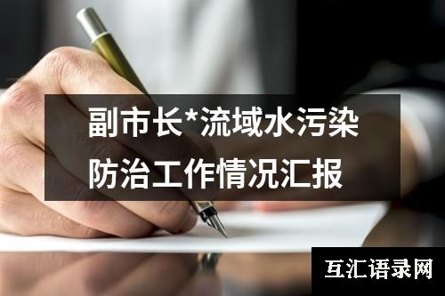 副市长*流域水污染防治工作情况汇报