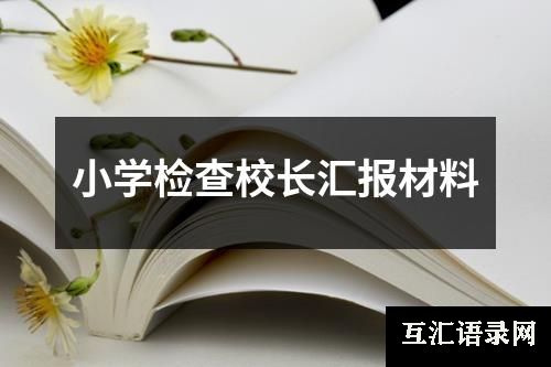 小学检查校长汇报材料