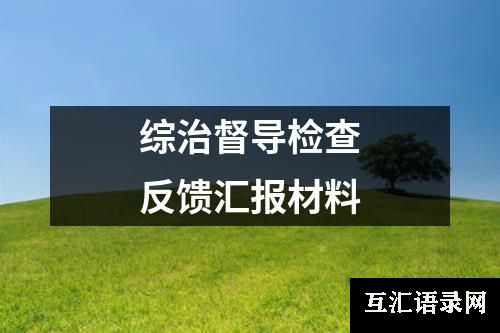 综治督导检查反馈汇报材料