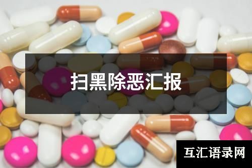 扫黑除恶汇报