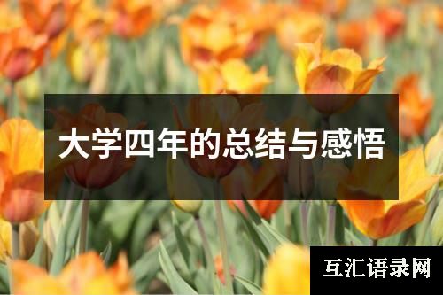 大学四年的总结与感悟