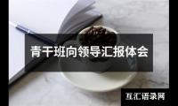 关于青干班向领导汇报体会（共17篇）