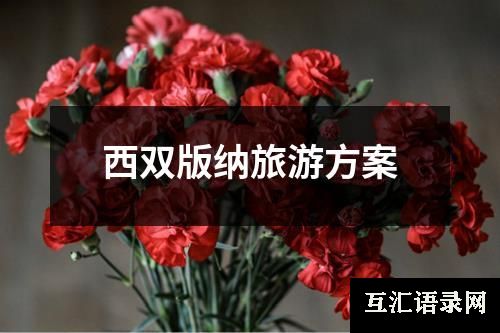 西双版纳旅游方案