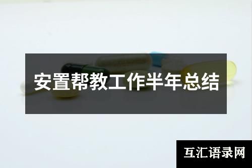 安置帮教工作半年总结