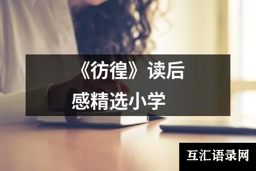 《彷徨》读后感精选小学