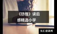 《彷徨》读后感精选小学