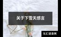 关于关于下雪天感言（精选17篇）