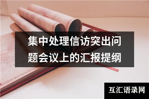 集中处理信访突出问题会议上的汇报提纲