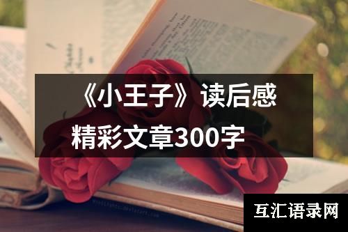 《小王子》读后感精彩文章300字