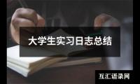 大学生实习日志总结