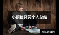 关于小额信贷员个人总结（共20篇）