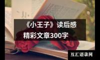 《小王子》读后感精彩文章300字