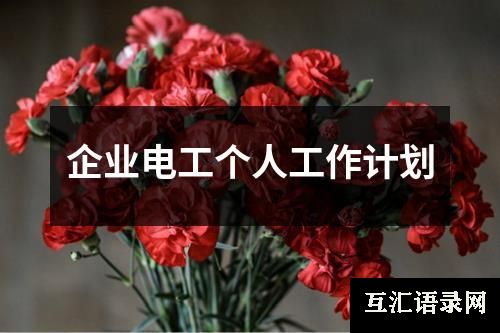 企业电工个人工作计划