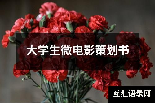 大学生微电影策划书